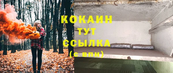 дживик Медвежьегорск